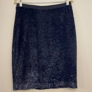 🆕 ANN TAYLOR sequins skirt with back zipper and split